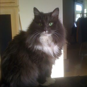 Meet your Posher, Kate